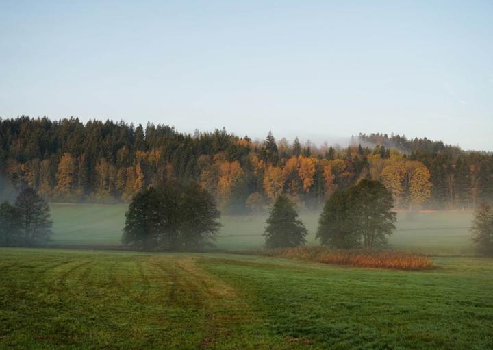 Berggasthof Schon Schon 1